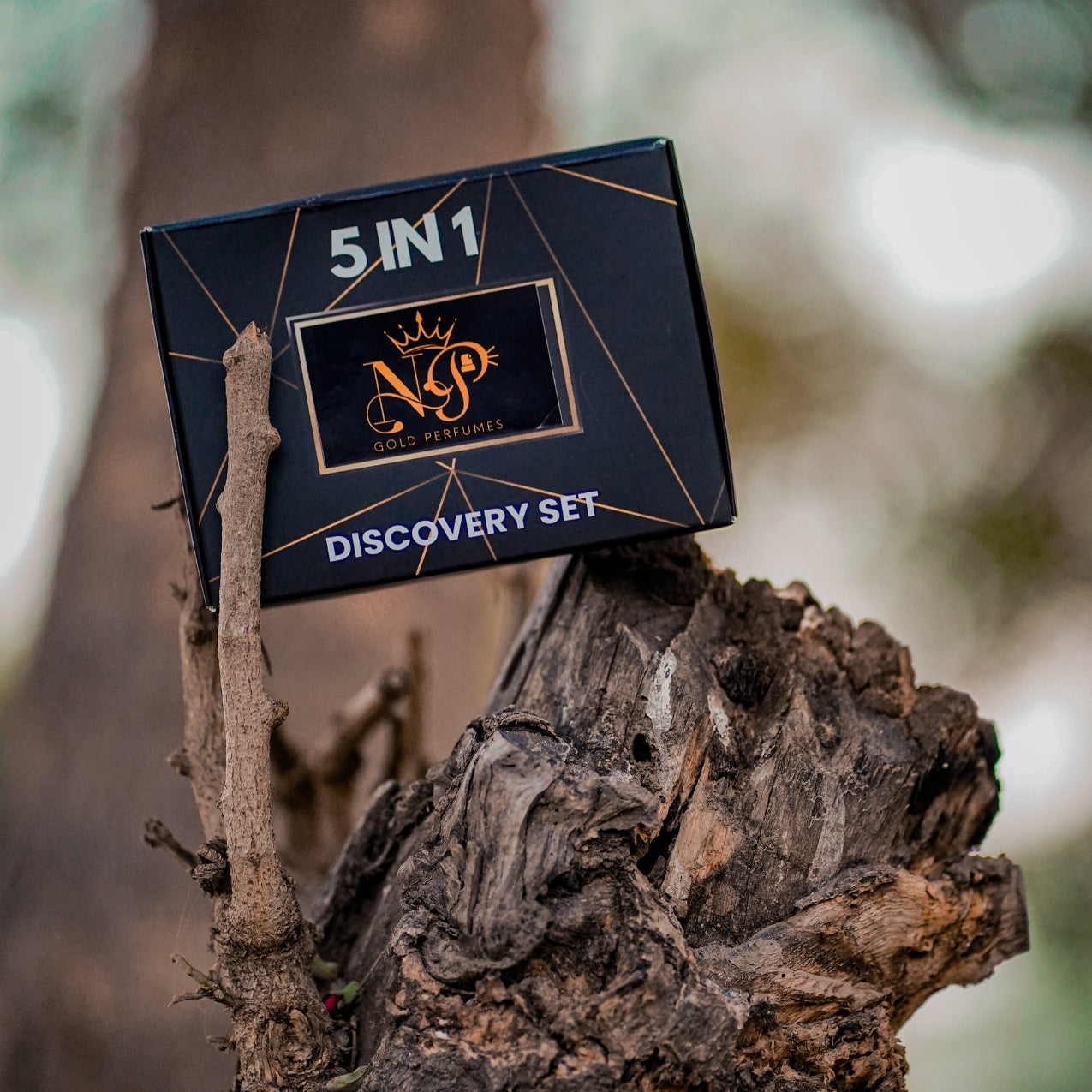 Signature Scents: 5-in-1 Perfume Discovery Kit